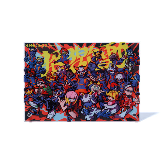 ACRYLIC PANEL / TYPE D